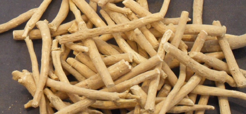 Ashwagandha Supports the Nervous System