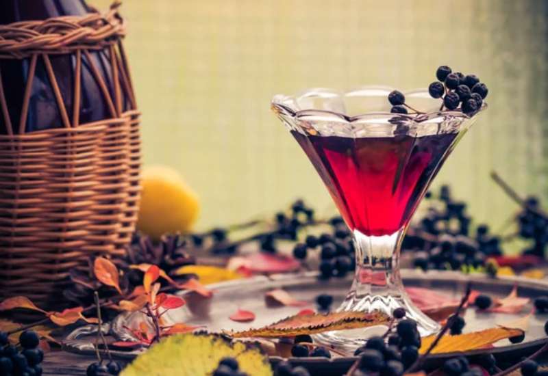 aronia juice rich in antioxidant phenolic compounds